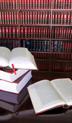 Commercial Lawyer