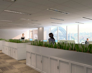 Office Fitout
