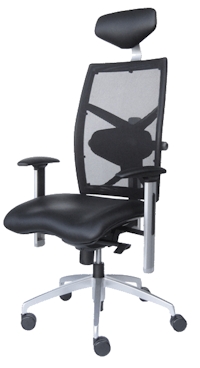 Ergonomic Offcie Chair