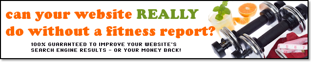 Audit Website
