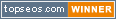 Top SEO Winner