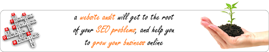 Website Audits by JustWeb