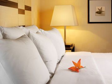 Bamboo Sheets