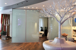 Privacy glass