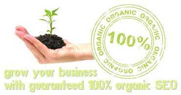 organic search results