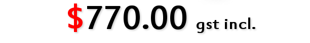 Website Audit Costs
